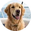 Francesca, Navy Blue private yacht sea transfer guest from Santorini to Milos